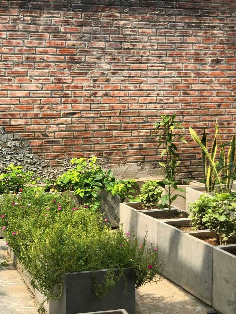 Define Spaces With Strategic Greenery