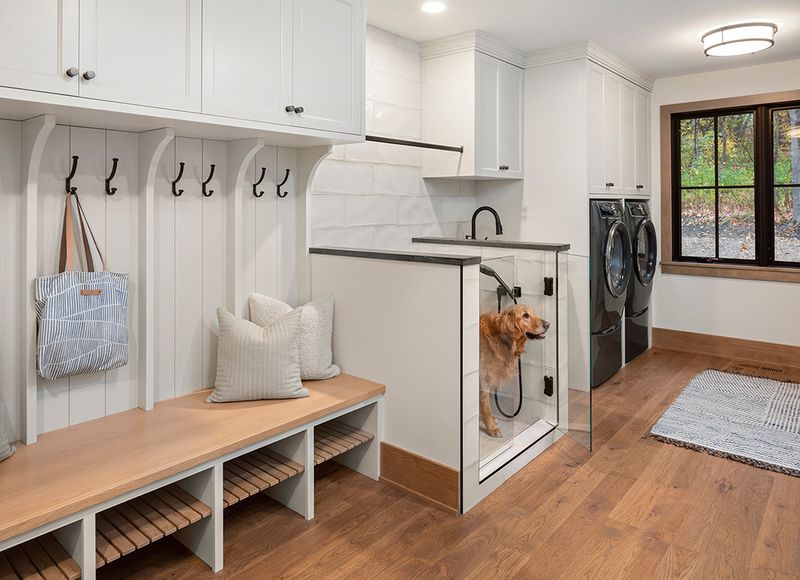 Pet-Friendly Washing Station Combo