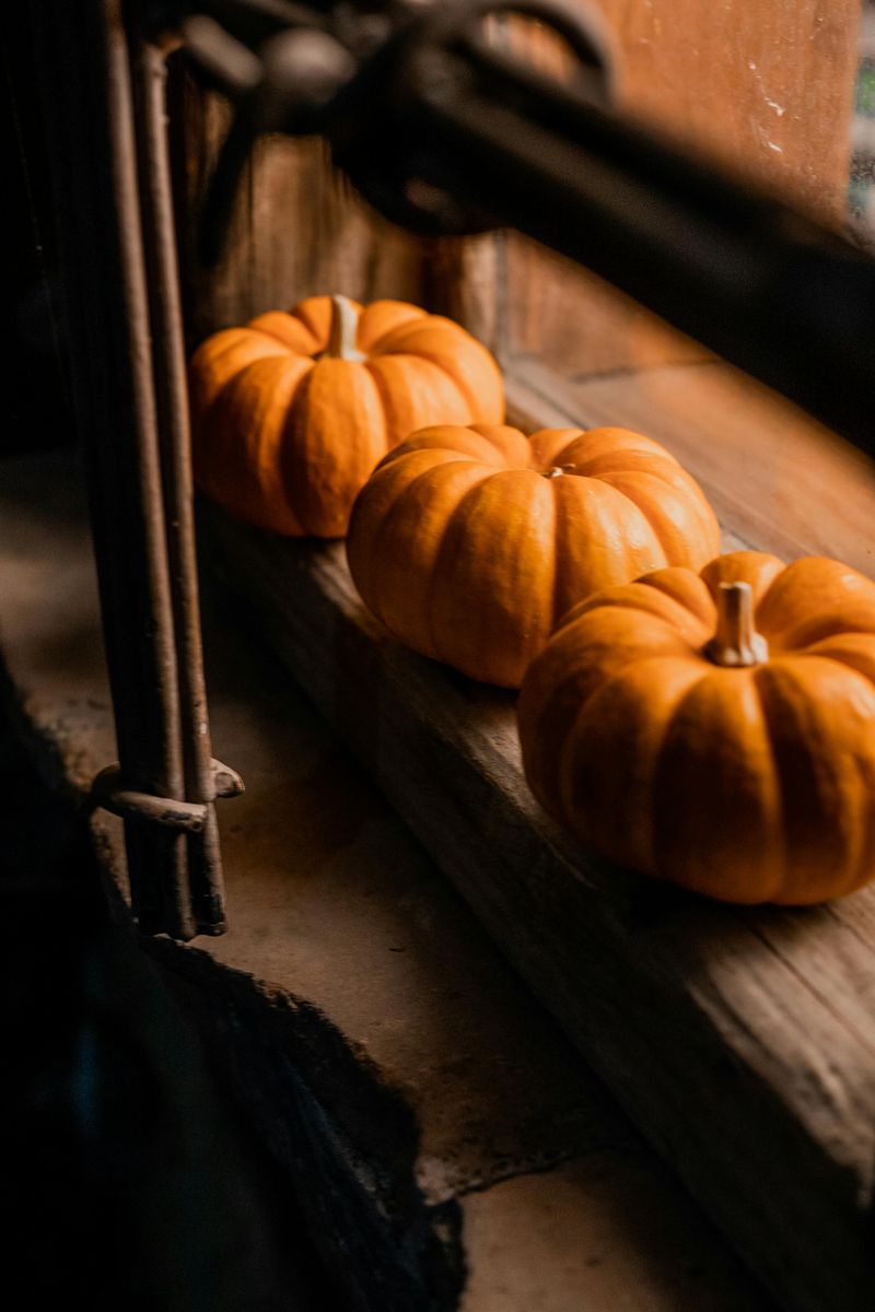 Mini Gourd Arrangements