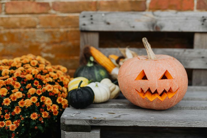 10 Porch Pumpkin Arrangements That Feel Classic Not Cheesy - Decor Hint Neutral Toned Pumpkins on Bench