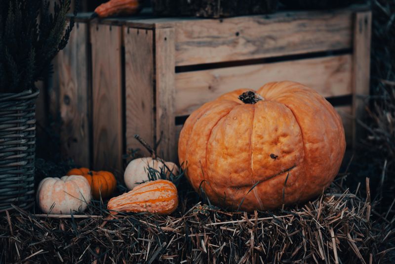 Hay Bale Display with Autumn Accents