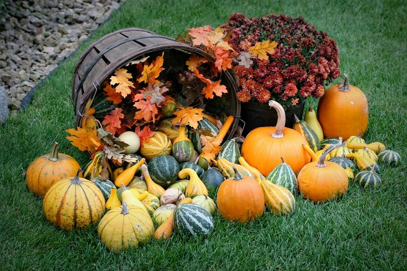 Autumn Flower Pots