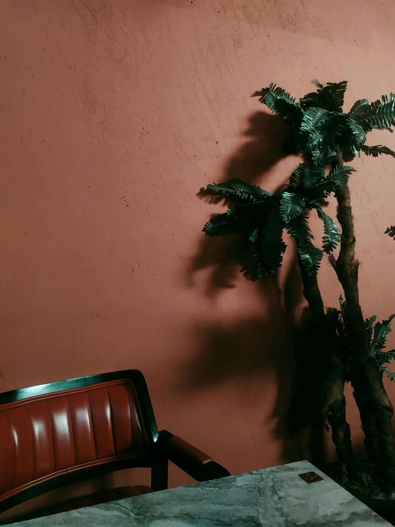 8 Key Colors Set To Transform Interiors In 2026 - Decor Hint Warm Terracotta: The Sunset Shade Heating Up Homes