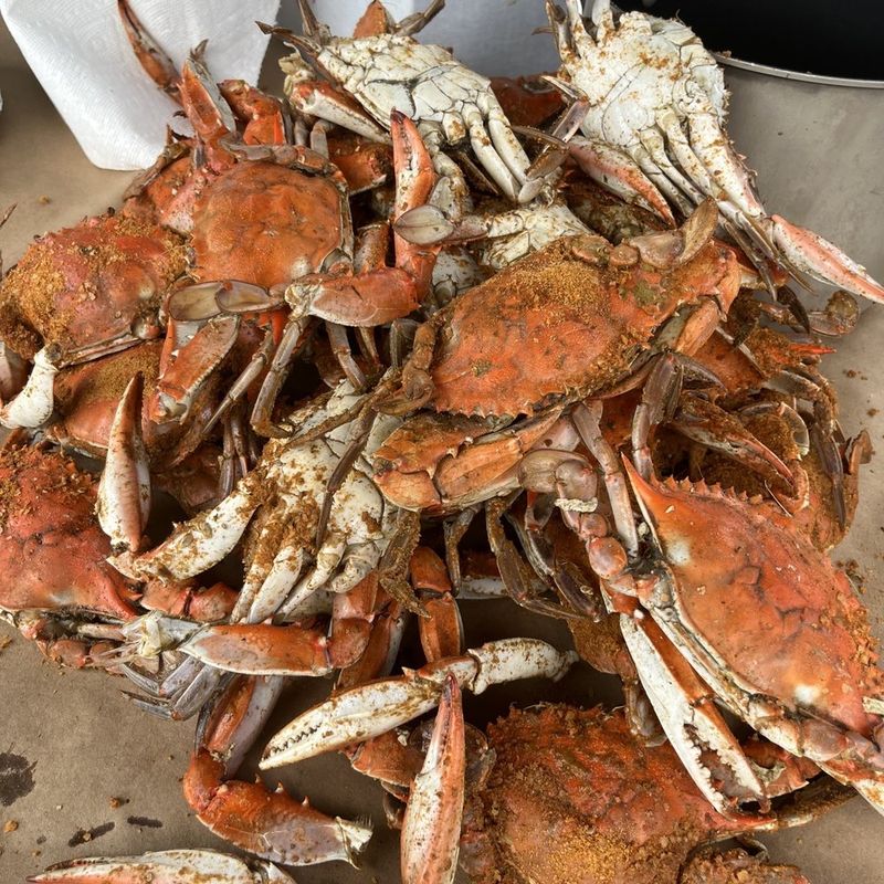 Chestertown Crab Shack – Historic Waterfront Dining