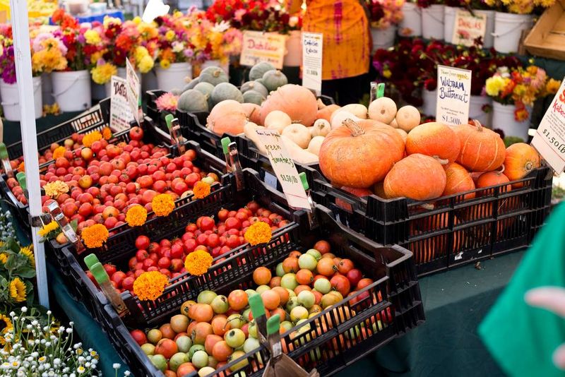 5 Vibrant California Farmers Markets Perfect For Food Enthusiasts - Decor Hint Temescal Farmers Market – Oakland