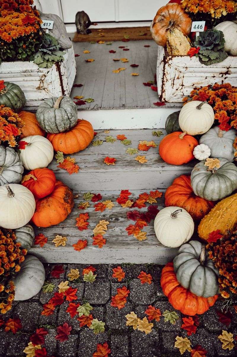 Pumpkin and Gourd Cascades