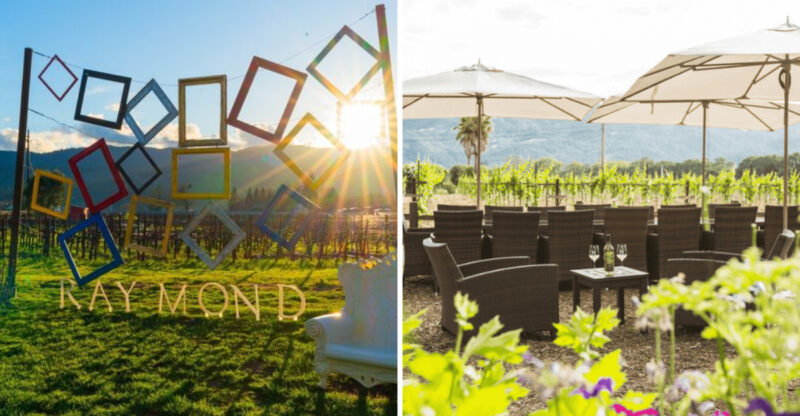 Scenic Wineries In Napa Valley Perfect For Families