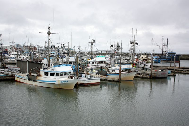 9 Washington Coastal Towns Overrun By Tourists, According To Locals - Decor Hint Westport