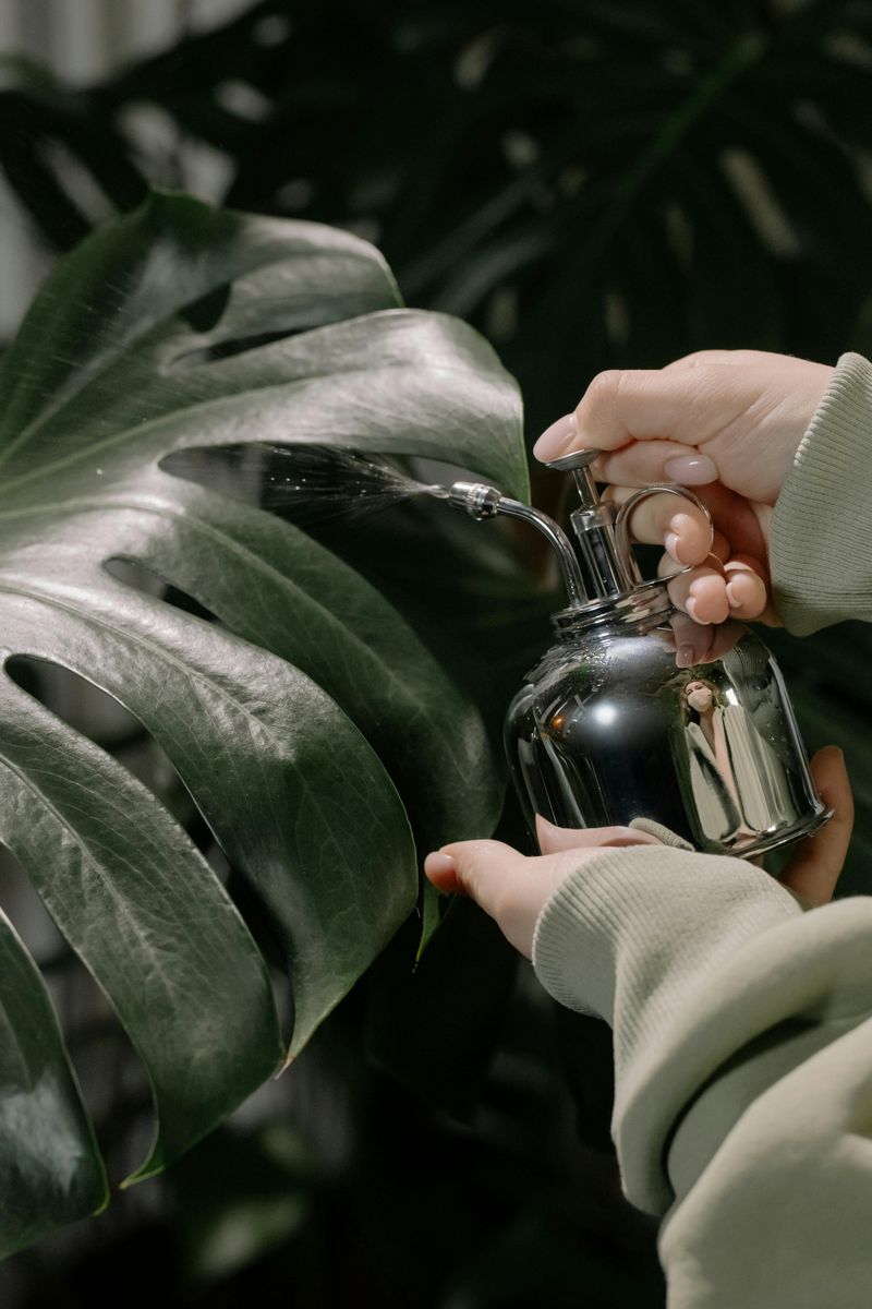 21 DIY Projects That Could Help Reduce Household Costs - Decor Hint Make Natural Pest Control Solutions
