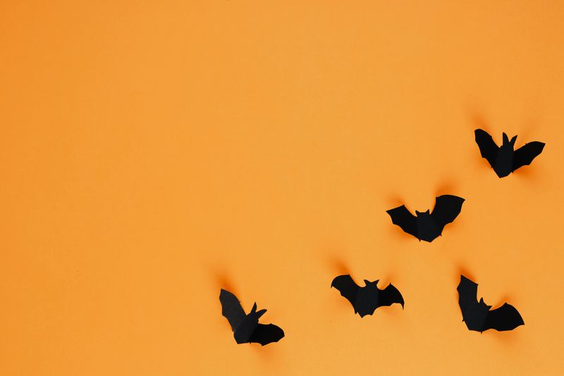 Geometric Paper Bats