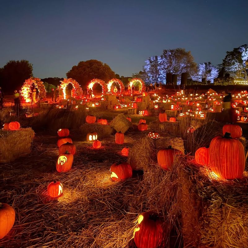 Filoli's Harvest Festival and Night Lights