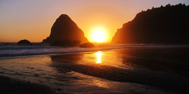 Whaleshead Beach's Misty Mornings