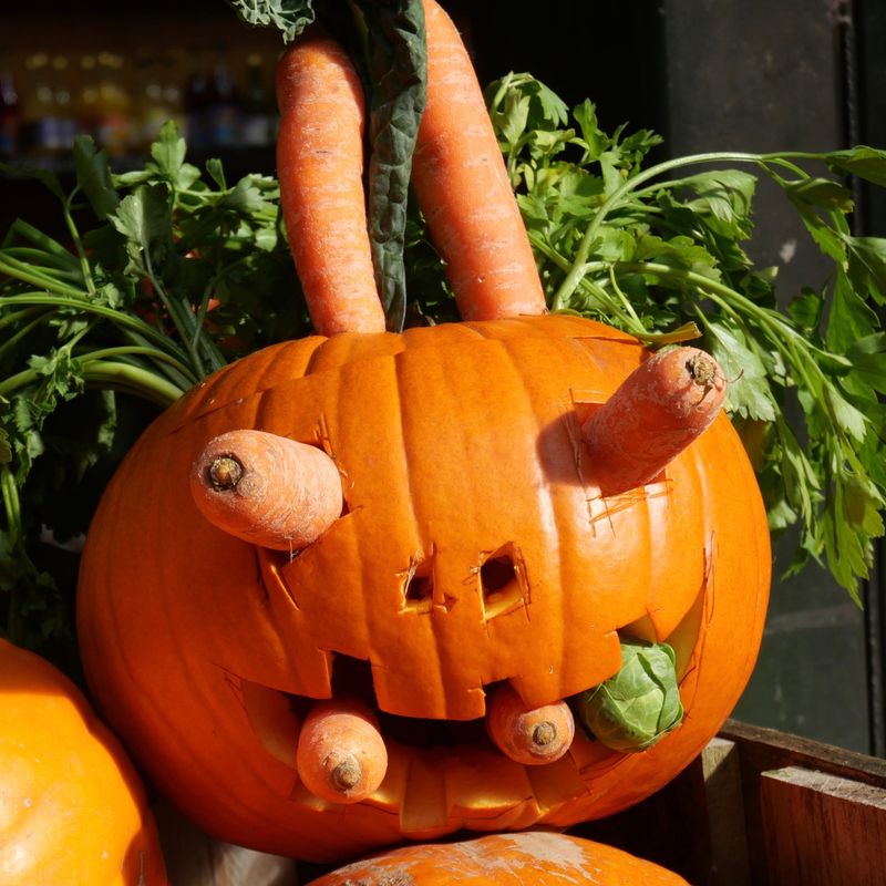 Farm-to-Table Harvest Designs