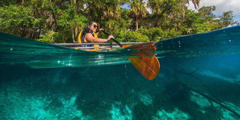Rainbow Springs: Vibrant Underwater Gardens