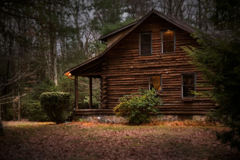 Rustic Log Cabins
