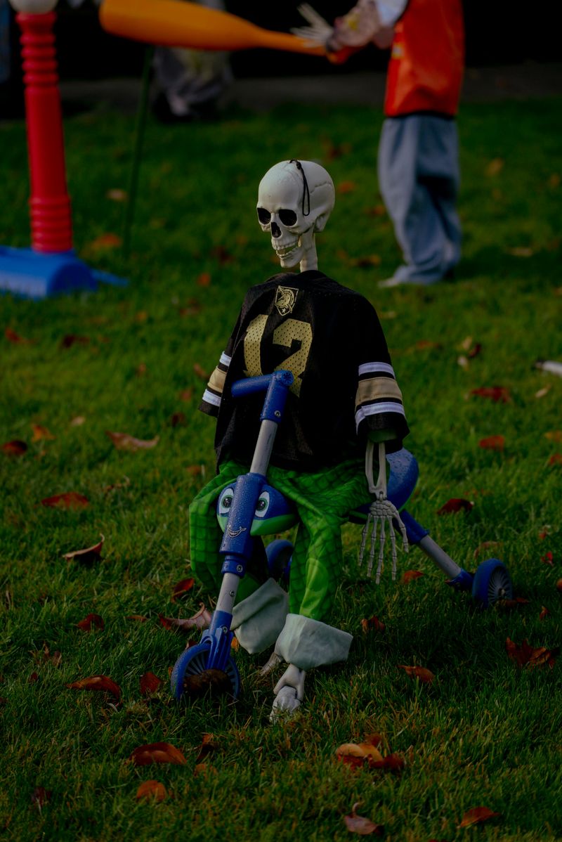Bicycling Skeleton Display