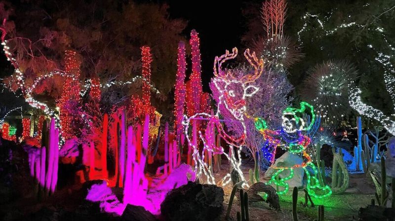 Creepy Cactus Illumination