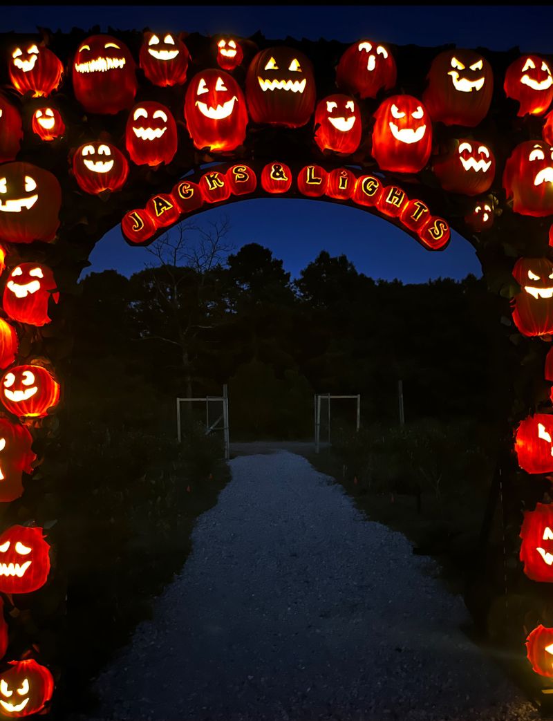 Pumpkin Archway Or Tunnel