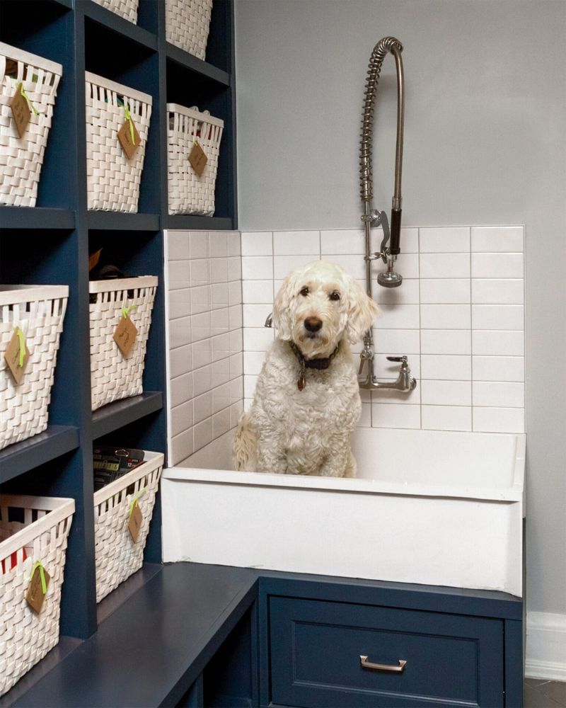 9 Colorado Mudrooms Designed For Everyday Life - Decor Hint Dog-Washing Wonder