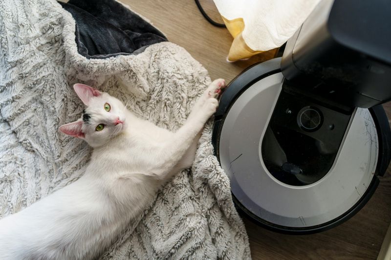 Budget-Friendly Robot Vacuums With Essential Features