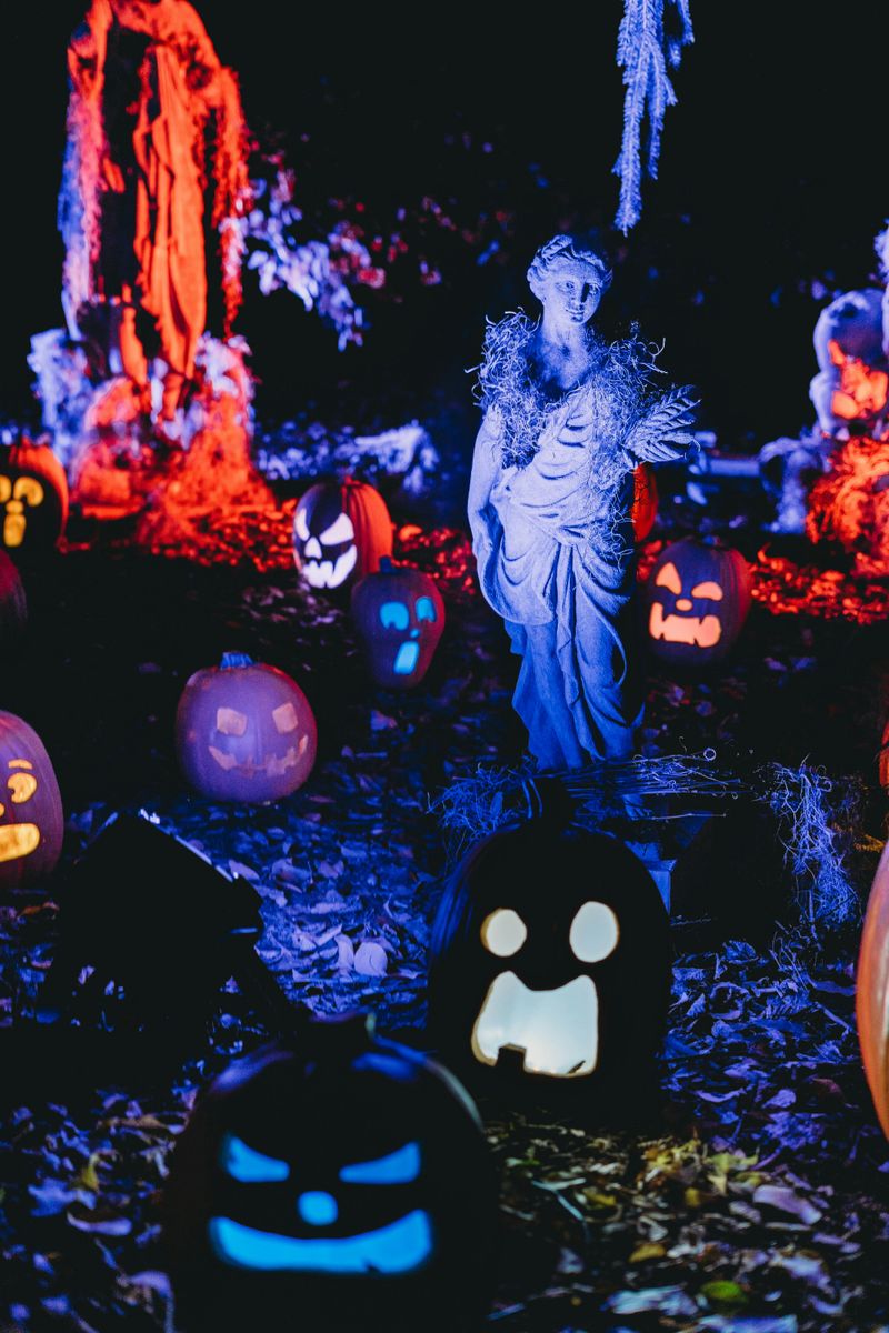 Spotlights To Highlight Spooky Yard Décor