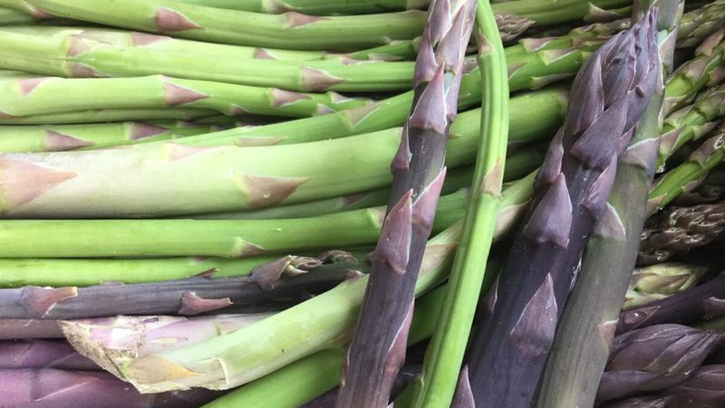 South Madison Farmers' Market - Novation Center (Monday)
