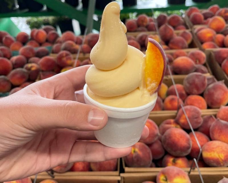CJ Orchards — Rutledge, GA