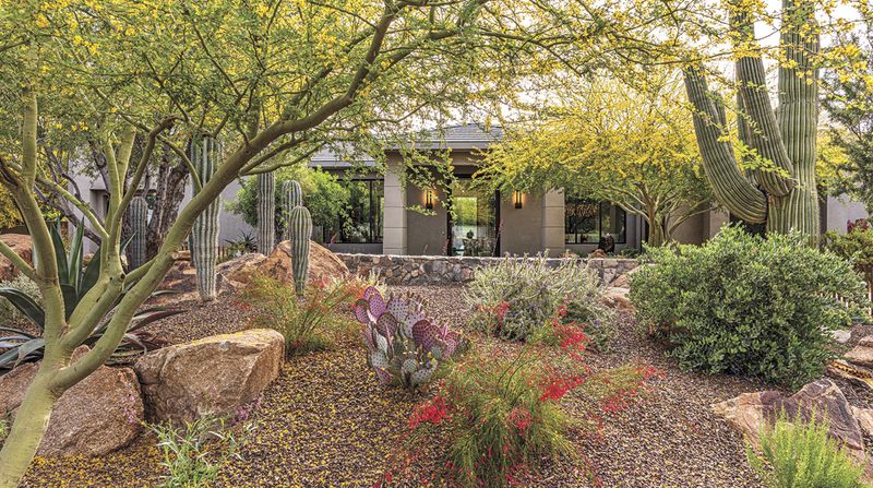 8 Stylish Arizona Courtyards That Keep Their Cool In Every Season - Decor Hint Native Plant Sanctuary