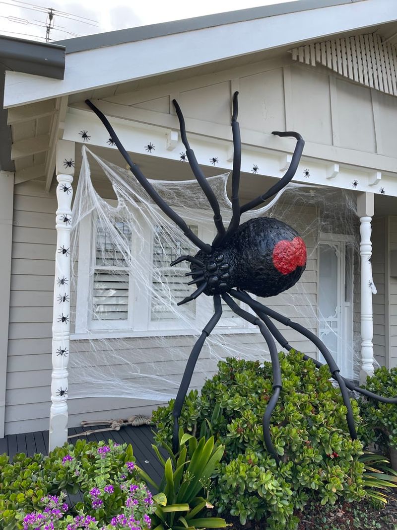 Massive Spider Kingdom