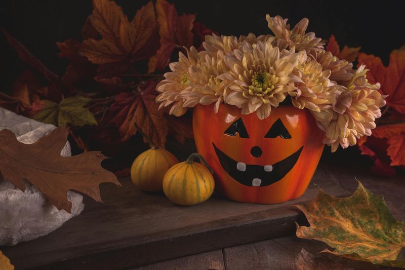 Hollowed Pumpkin Flower Vases