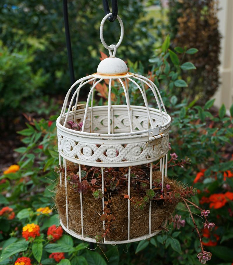 Decorative Birdcages
