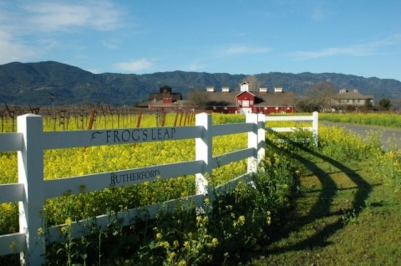 Frog's Leap: Organic Farm Experience