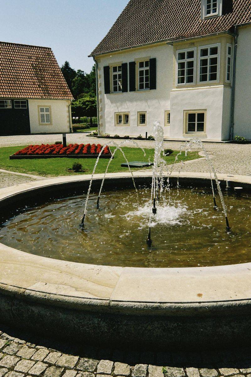 Water Features Add Depth Through Reflection