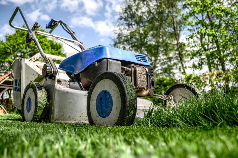 Details That Can Help A Yard Look Well-Maintained - Decor Hint Controlled Lawn Height Variations