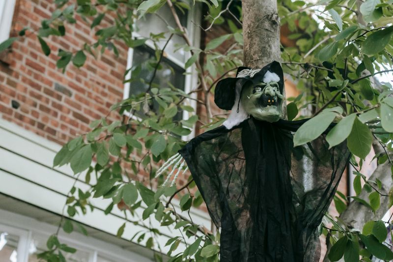 Decorative Witch Hats