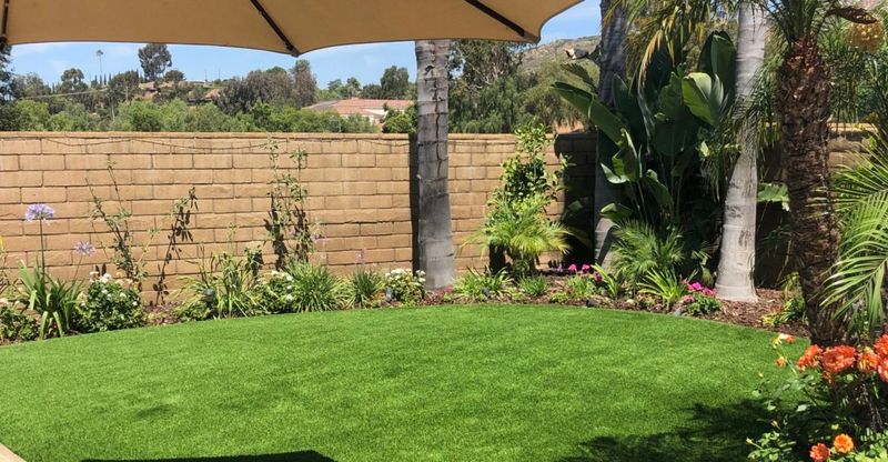 Artificial Grass Revolution in Encinitas