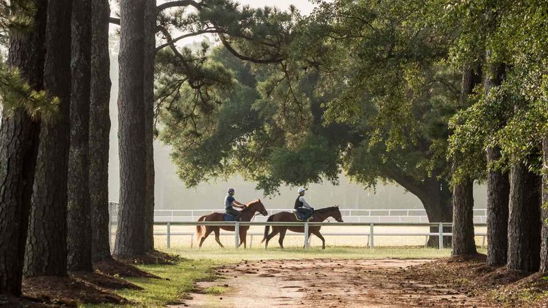 Aiken: Equestrian Elegance In South Carolina's Countryside