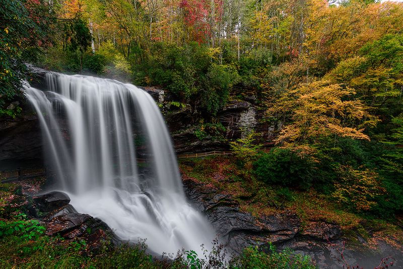 Surrounded By Breathtaking Forest