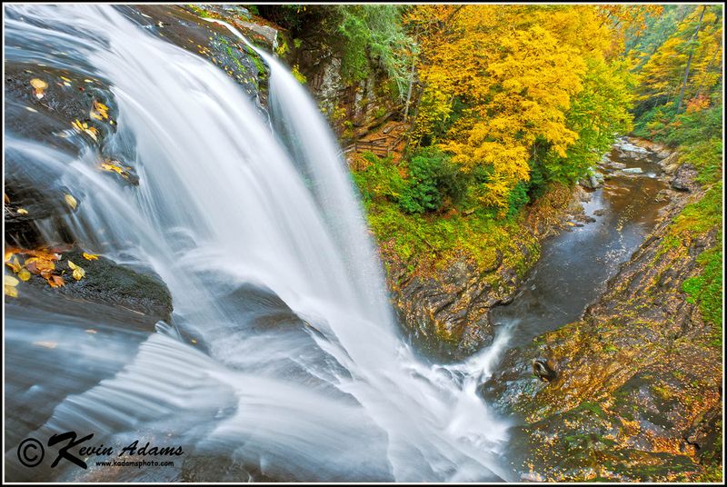 Photographer's Paradise In Any Season