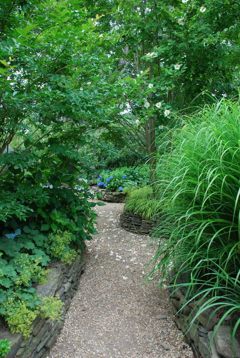 Pine Straw Woodland Paths