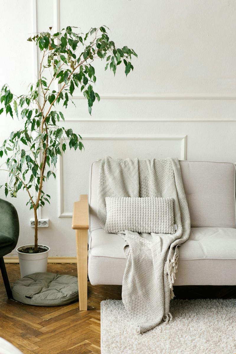 20 Decorations That Can Make Your Home Feel Classier - Decor Hint Decorative Throw Blankets