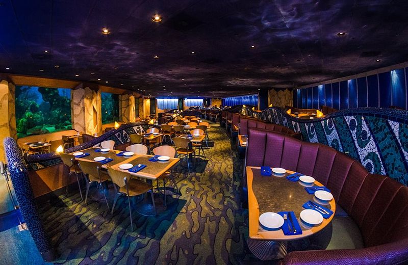 All-You-Can-Eat Seafood Restaurants In Florida Worth Visiting - Decor Hint The Coral Reef: Underwater Dining Adventure