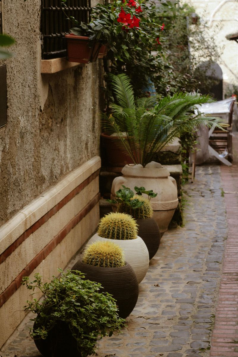 Stone Paver Courtyards