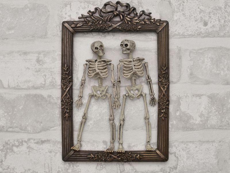Framed Vintage Illustrations