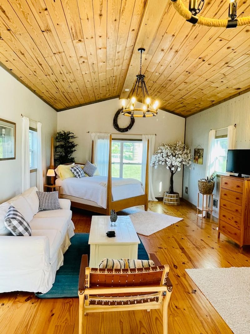 Lavender Hill Horse Haven