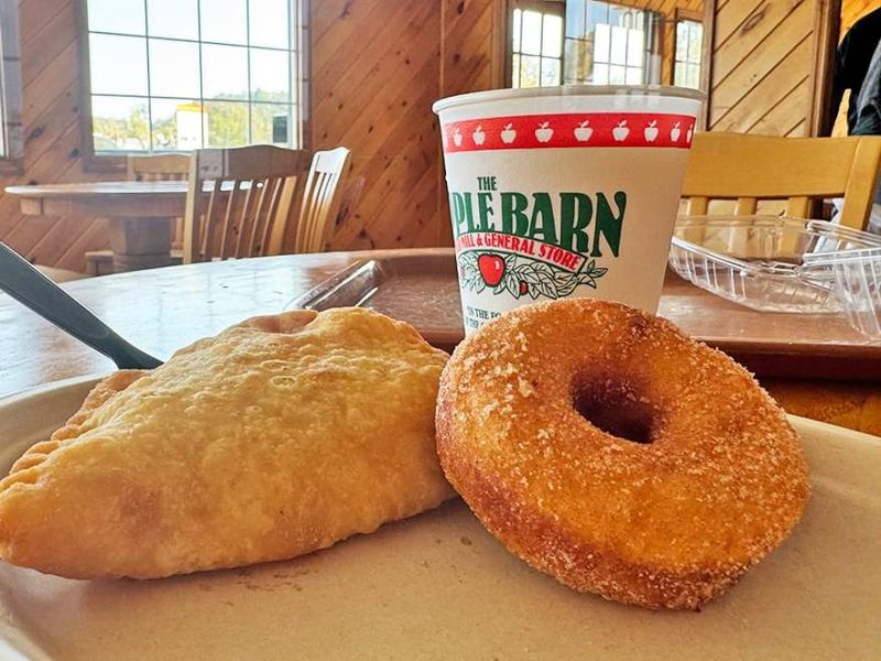 7 Spots Serving Apple Cider Donuts That Could Feel Perfectly Fall - Decor Hint Old Mill Apple Barn Pigeon Forge, Tennessee