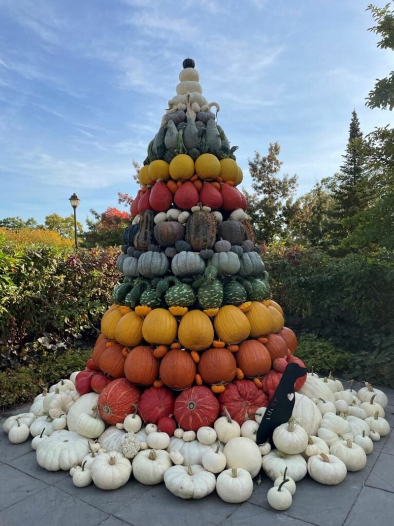 Pumpkin Hollow At The Minnesota Landscape Arboretum