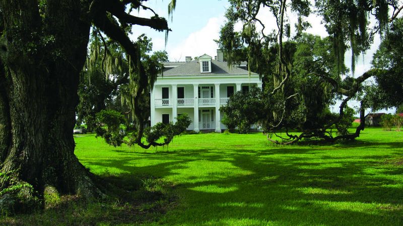 The Bayou Teche Acadian-Creole Blend