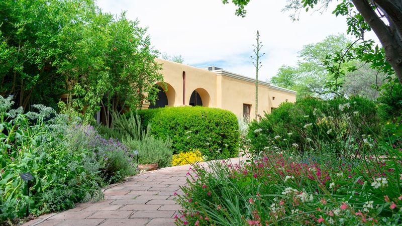 The Missionary's Garden In Tumacacori