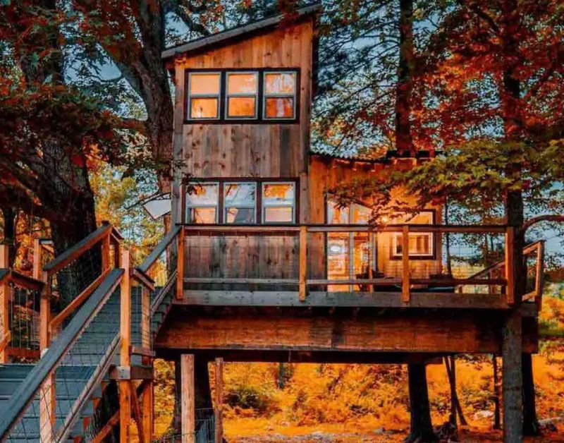 Moose Meadow's Treehouse Wonder